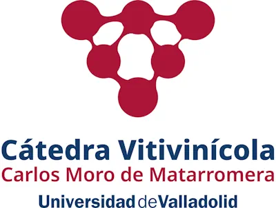 LOGO CÁTEDRA